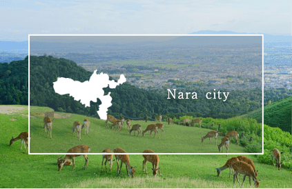 The Nara city
